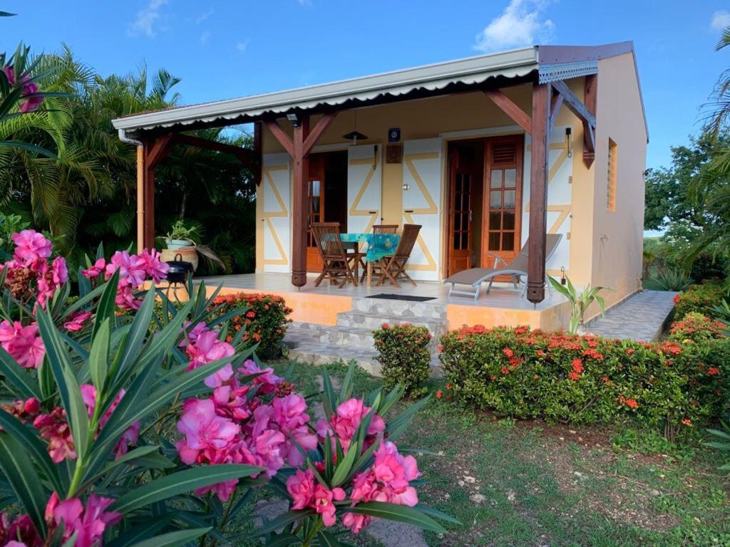 Les Palmes Du Moulin Villa Saint-Louis Buitenkant foto