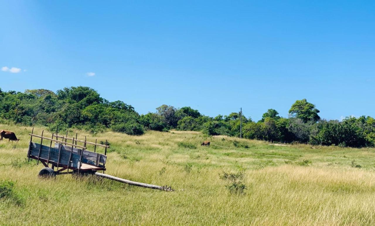 Les Palmes Du Moulin Villa Saint-Louis Buitenkant foto