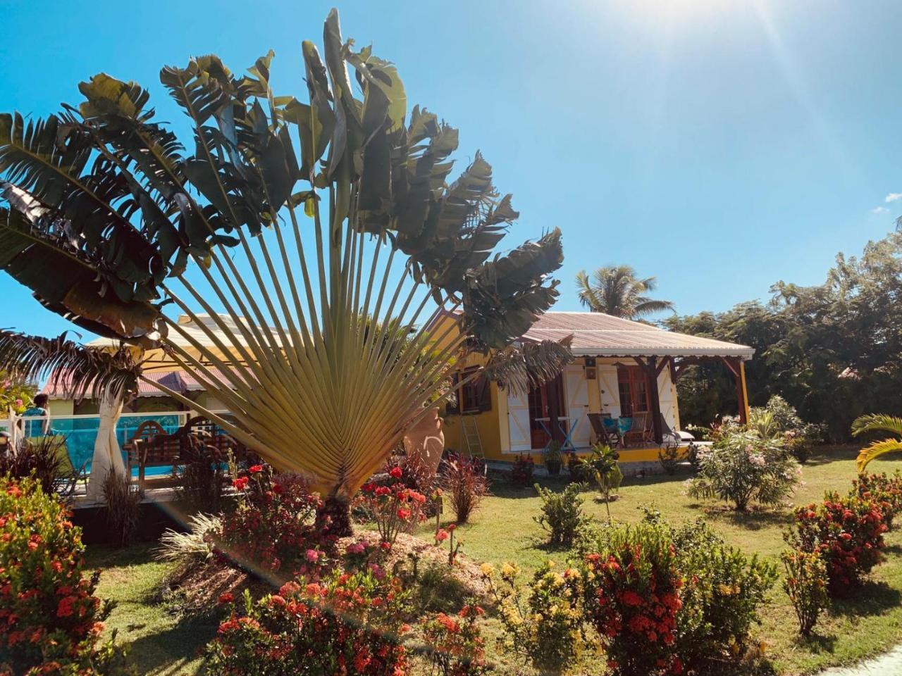 Les Palmes Du Moulin Villa Saint-Louis Buitenkant foto