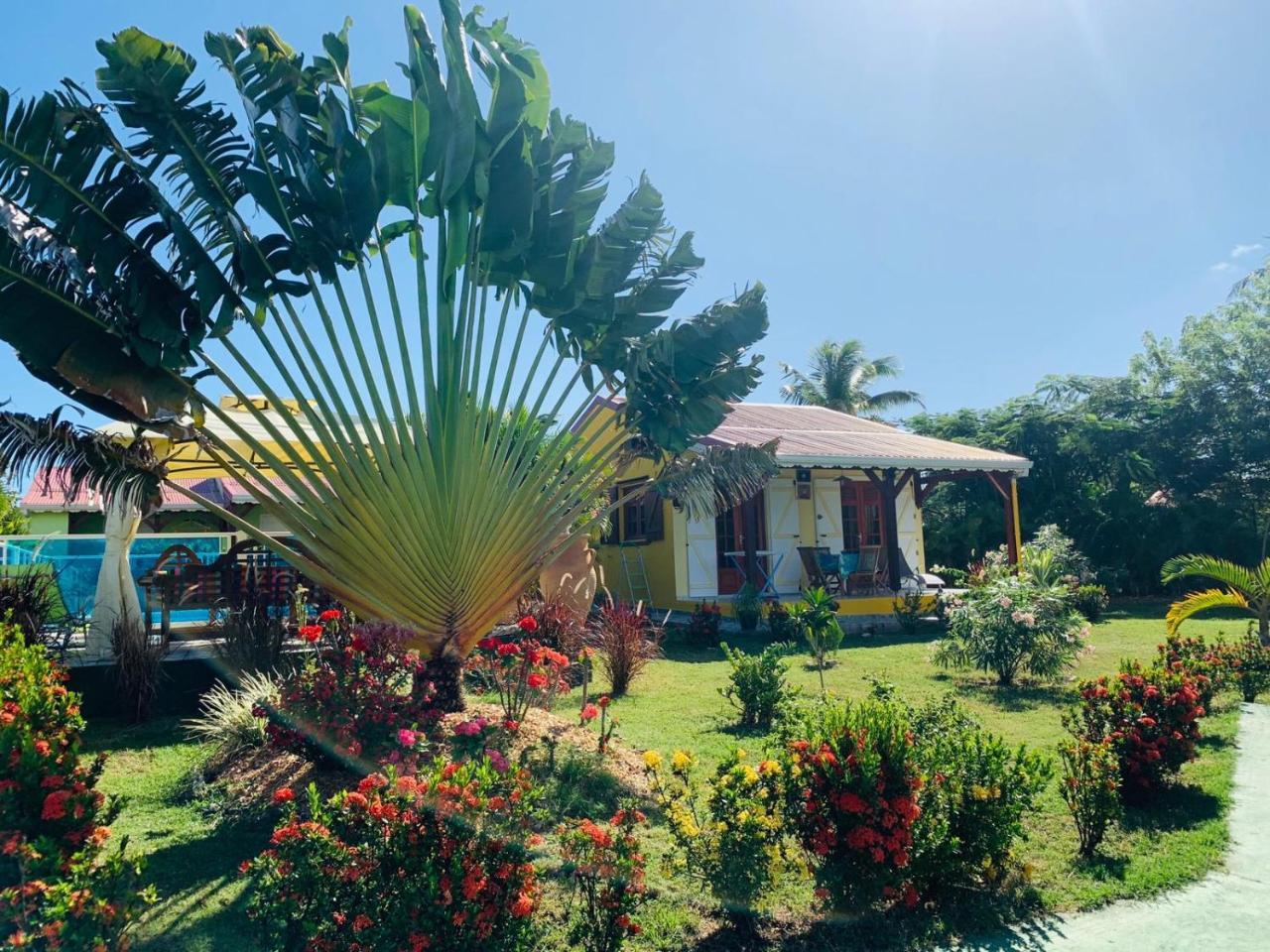 Les Palmes Du Moulin Villa Saint-Louis Buitenkant foto