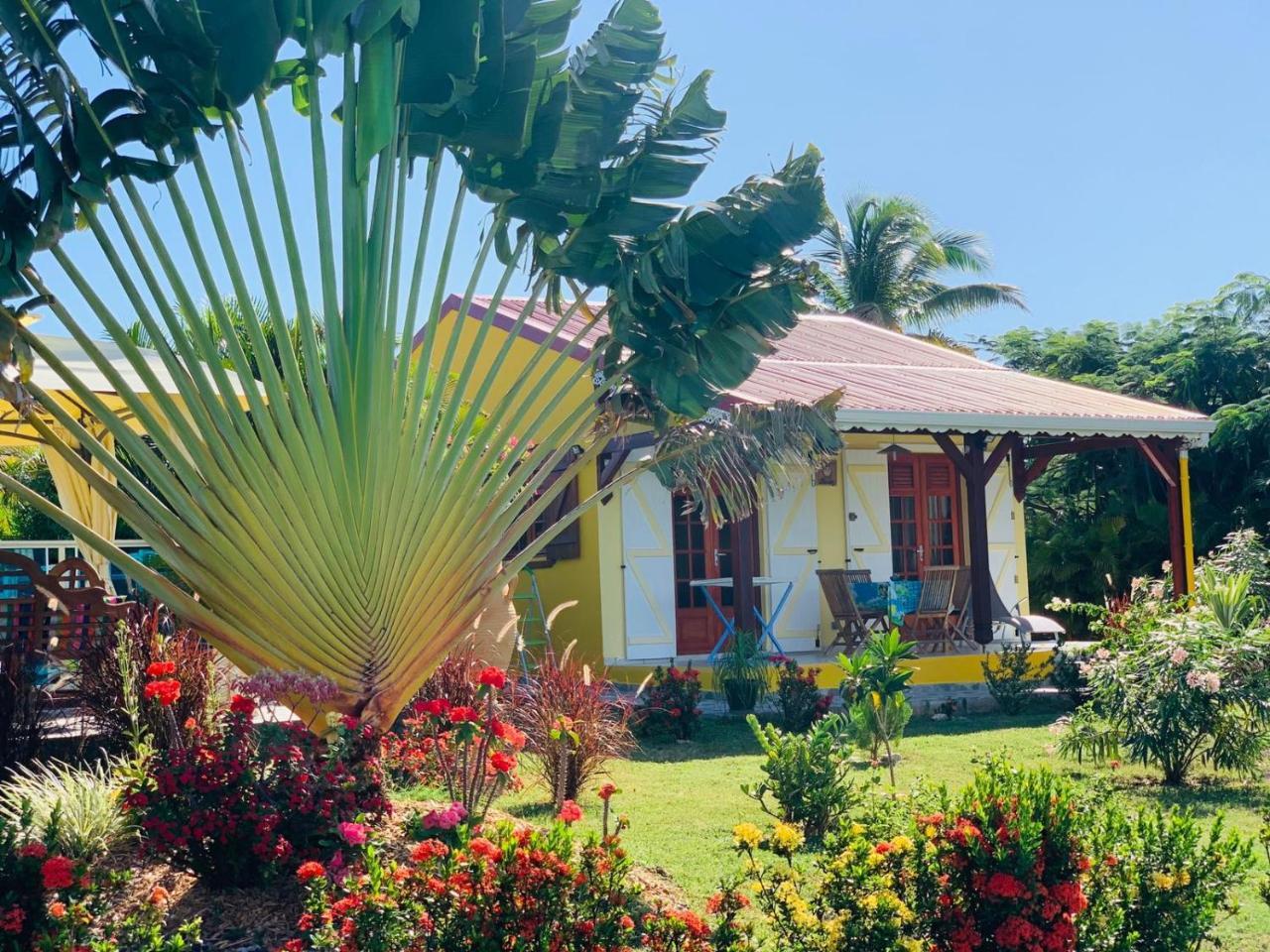 Les Palmes Du Moulin Villa Saint-Louis Buitenkant foto
