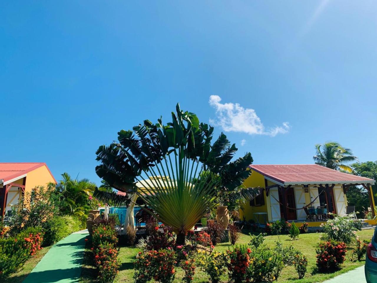 Les Palmes Du Moulin Villa Saint-Louis Buitenkant foto